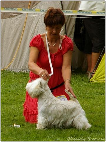 IMGP7104.jpg - Champion class - Ashley  Ex1, CAC,CACIB